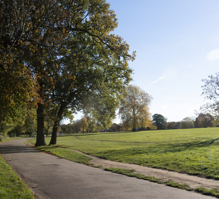 Park