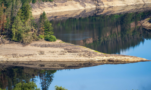 Reducing water network demand
